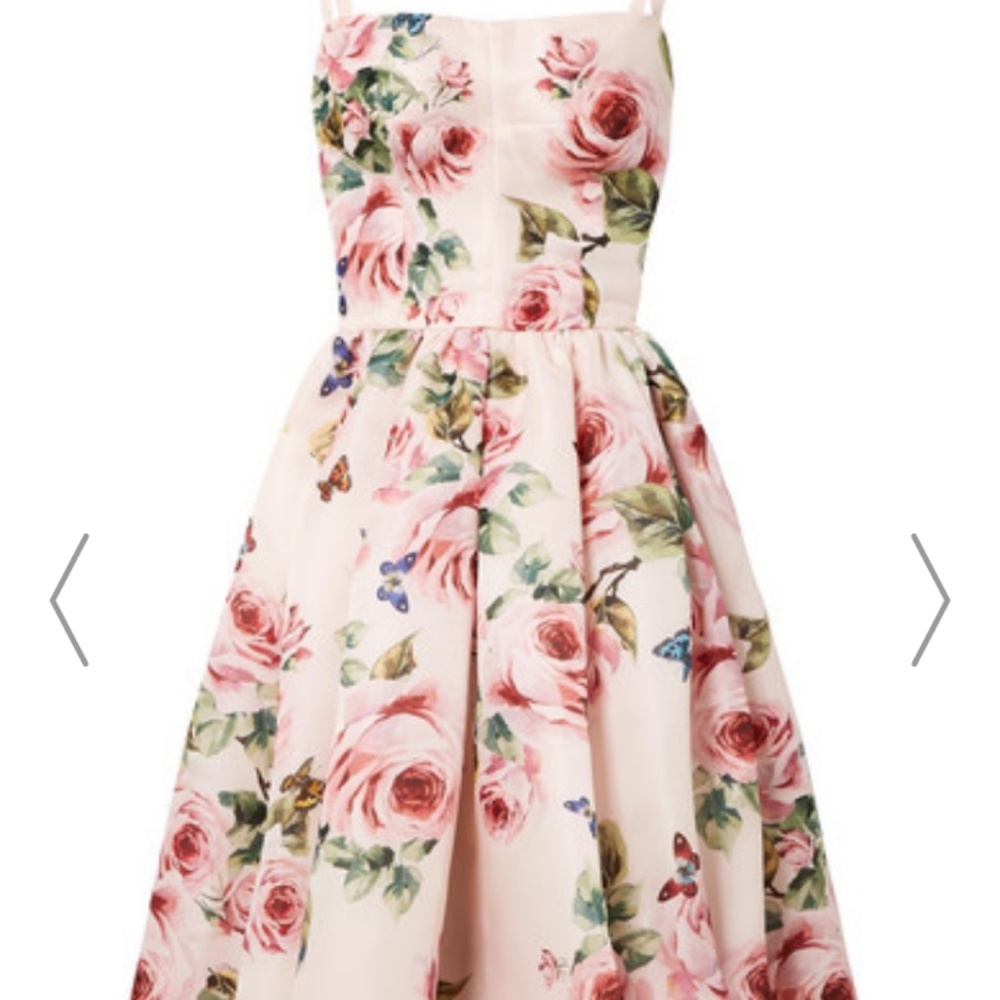 Meet your Posher, Perla